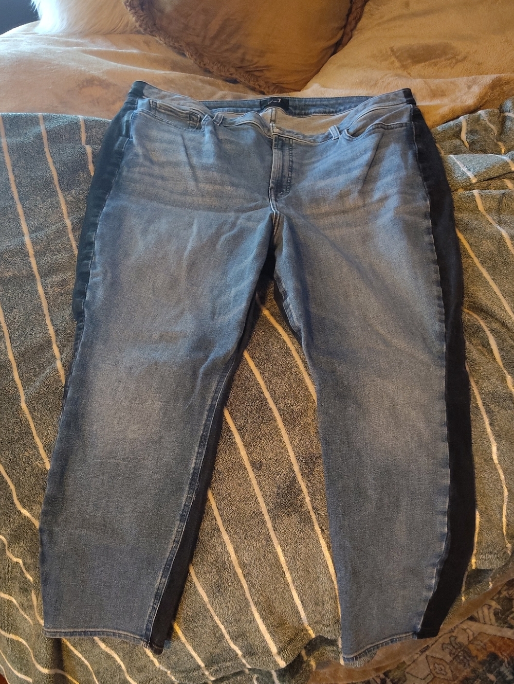Jen 7 Blue Skinny Jeans with Black Side Panels - Women's